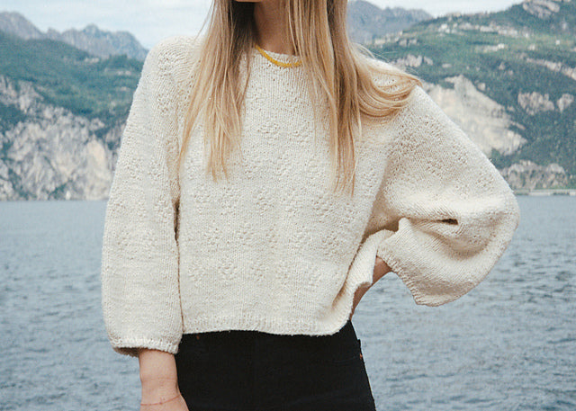 Patrón Sweater N°95