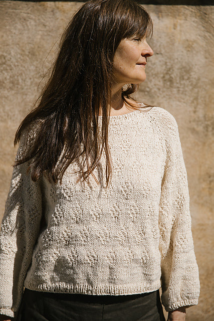 Patrón Sweater N°95