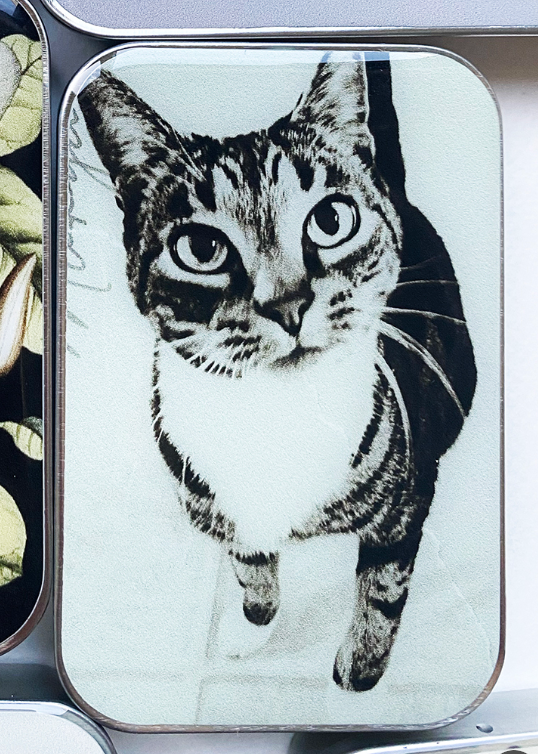 Cajas Metálicas Firefly Notes