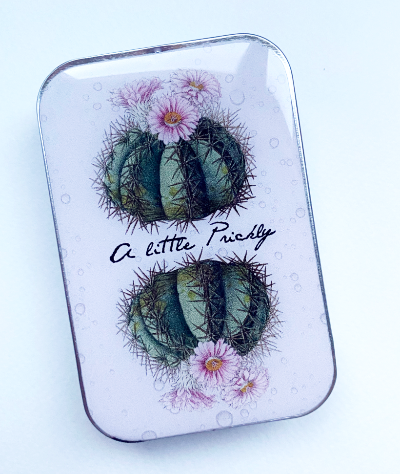 Cajas Metálicas Firefly Notes