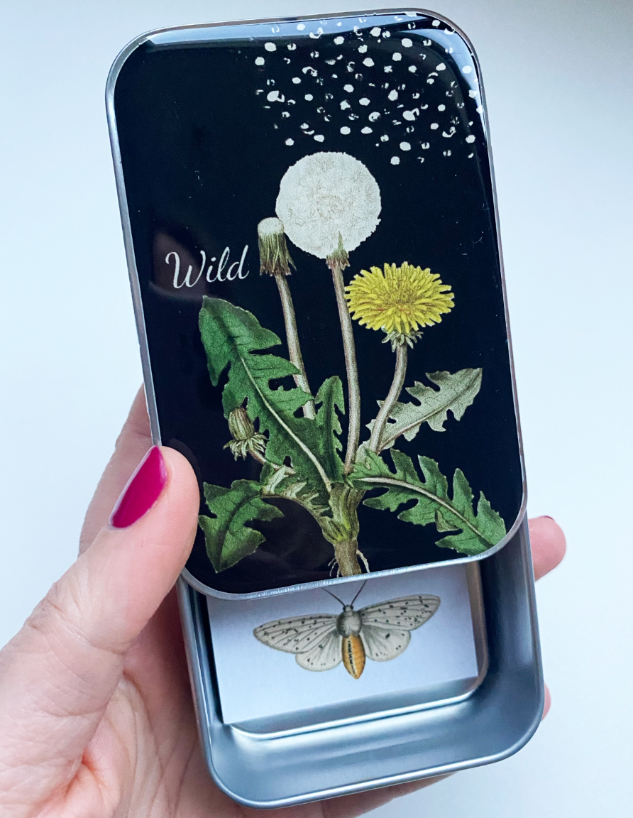 Cajas Metálicas Firefly Notes