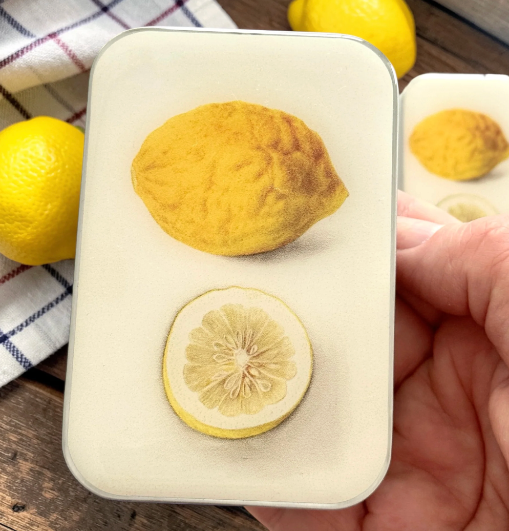 Cajas Metálicas Firefly Notes Large