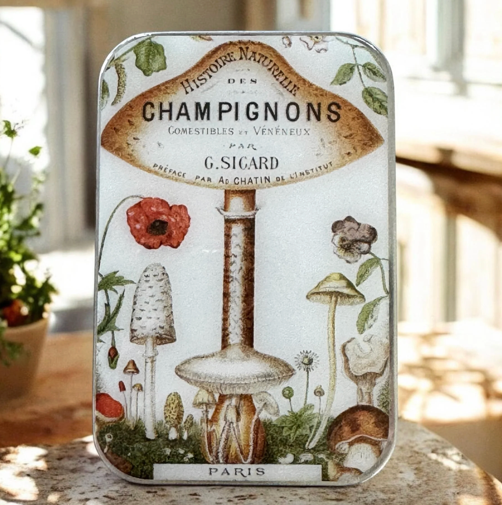 Cajas Metálicas Firefly Notes Large