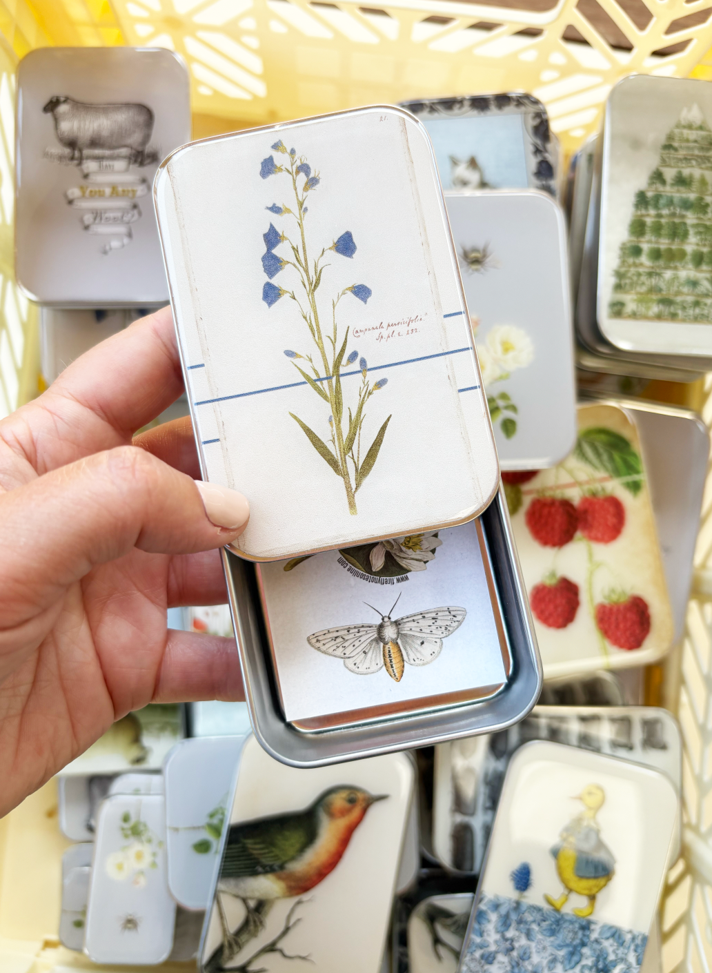 Cajas Metálicas Firefly Notes Large