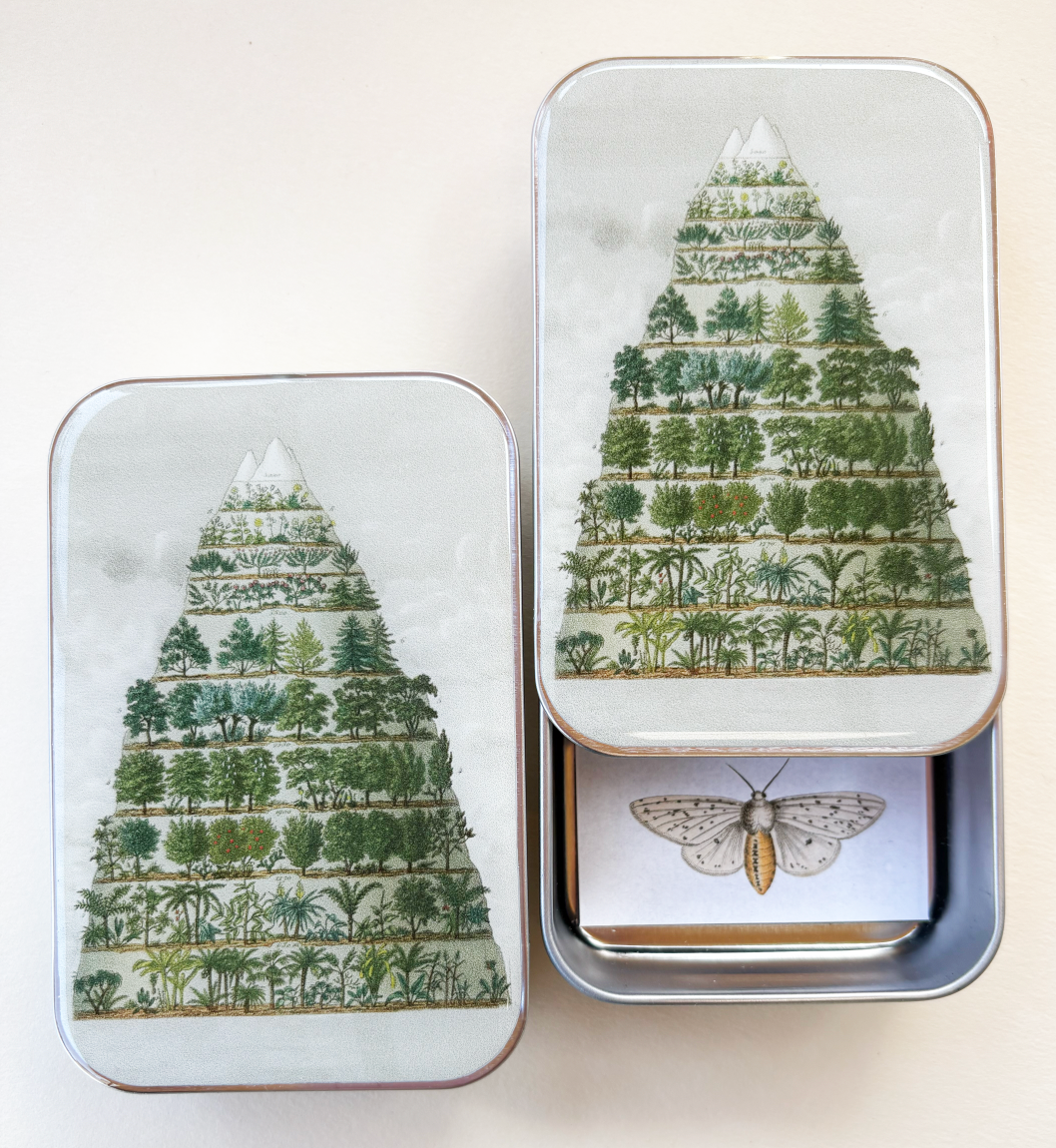 Cajas Metálicas Firefly Notes Large