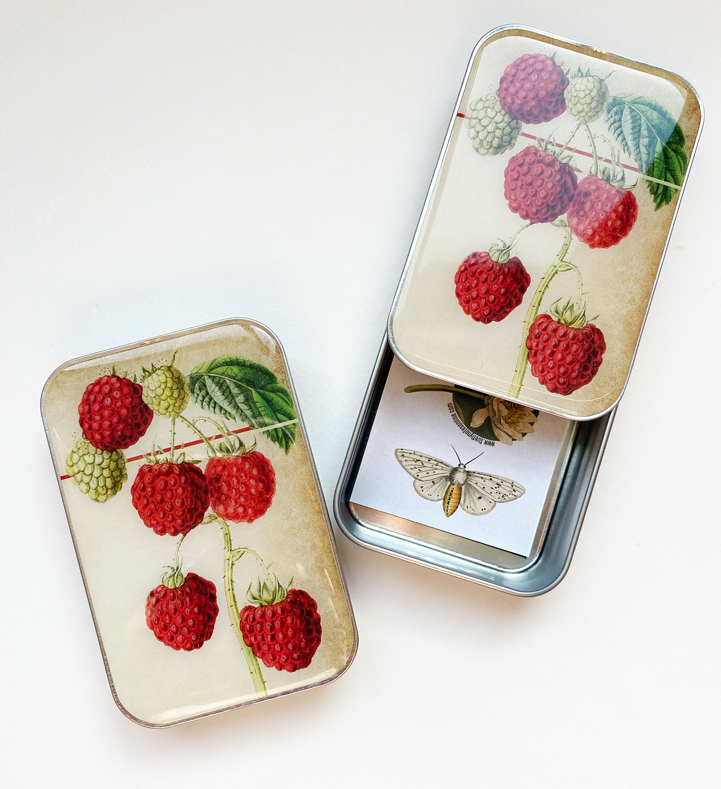 Cajas Metálicas Firefly Notes