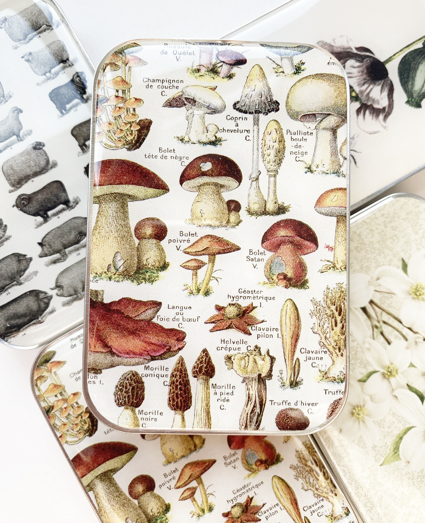 Cajas Metálicas Firefly Notes