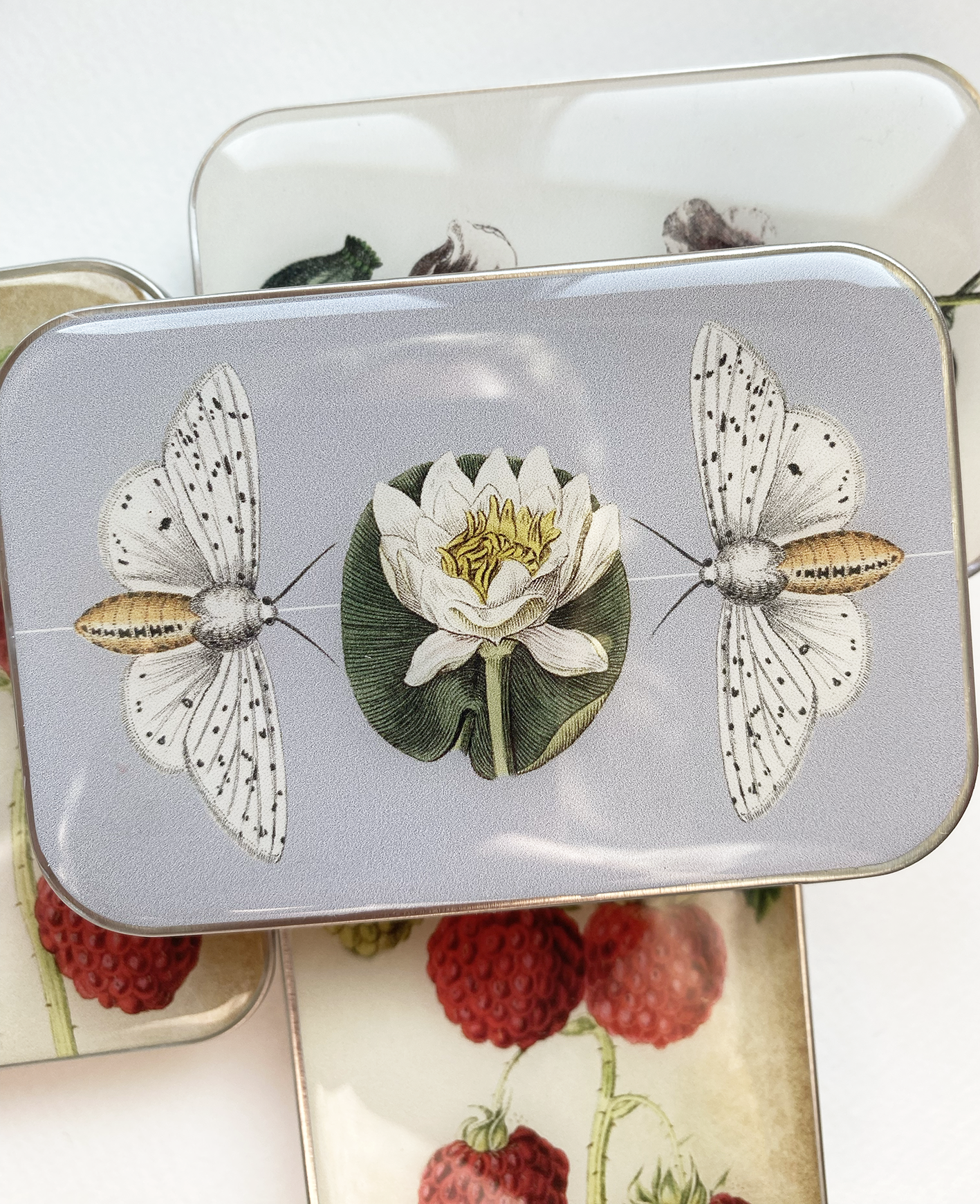 Cajas Metálicas Firefly Notes