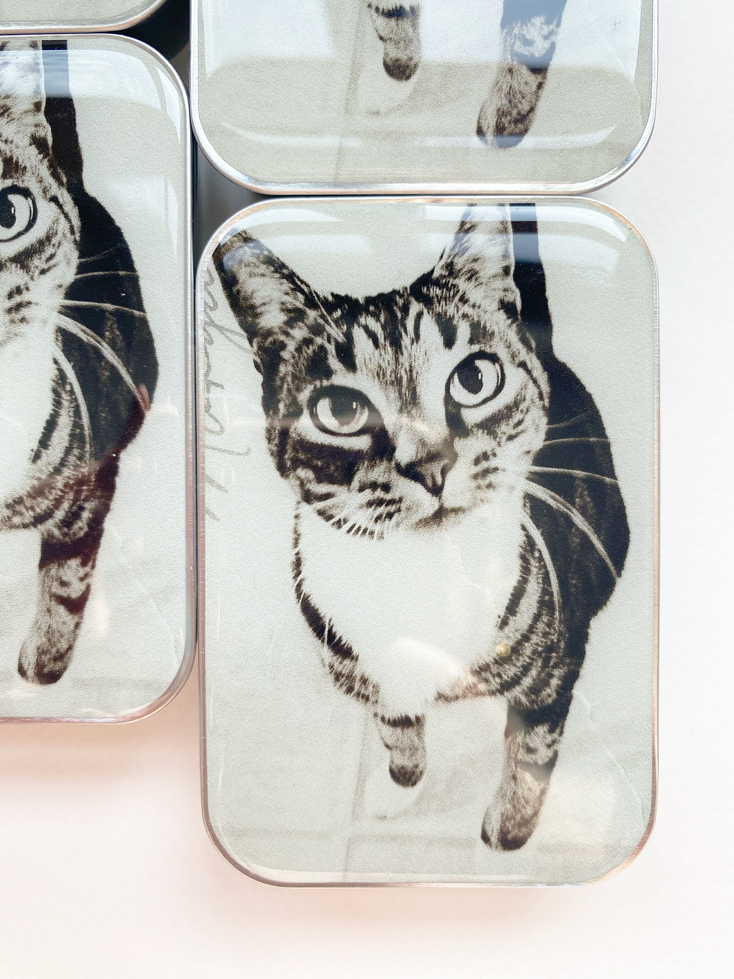 Cajas Metálicas Firefly Notes