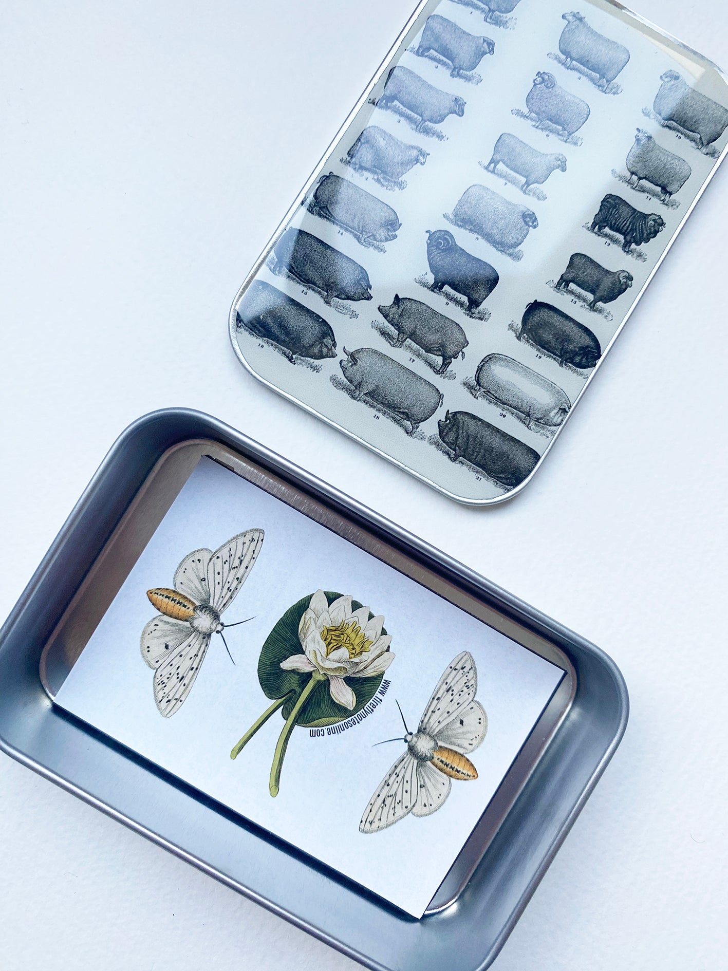 Cajas Metálicas Firefly Notes