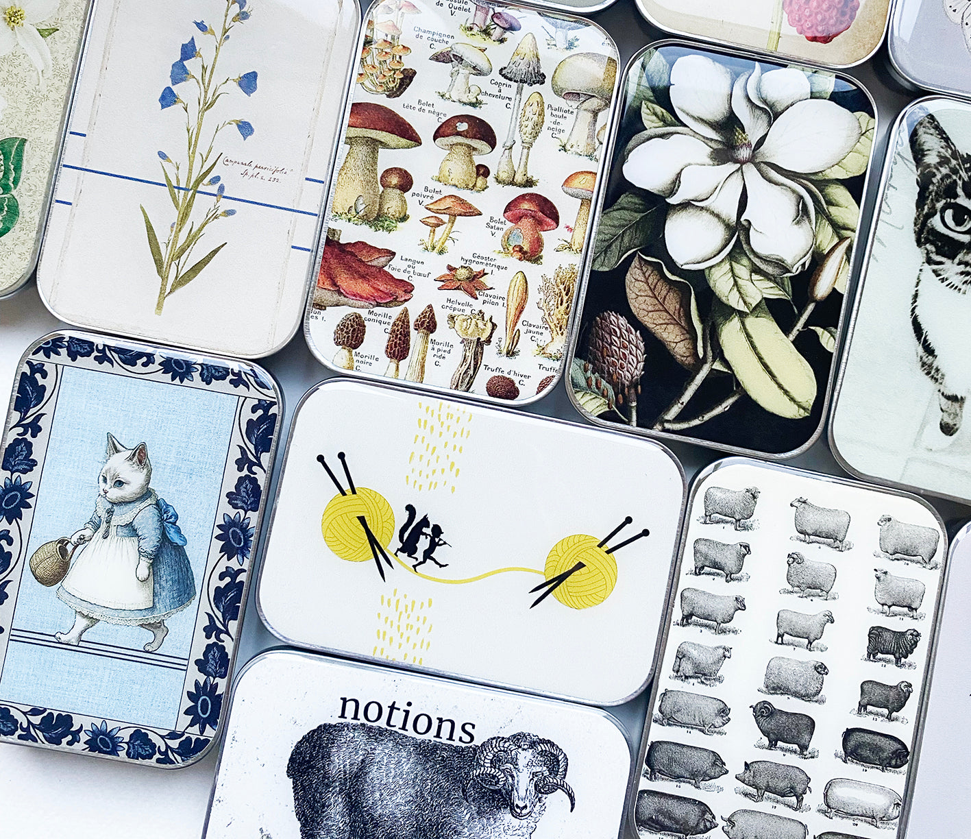 Cajas Metálicas Firefly Notes