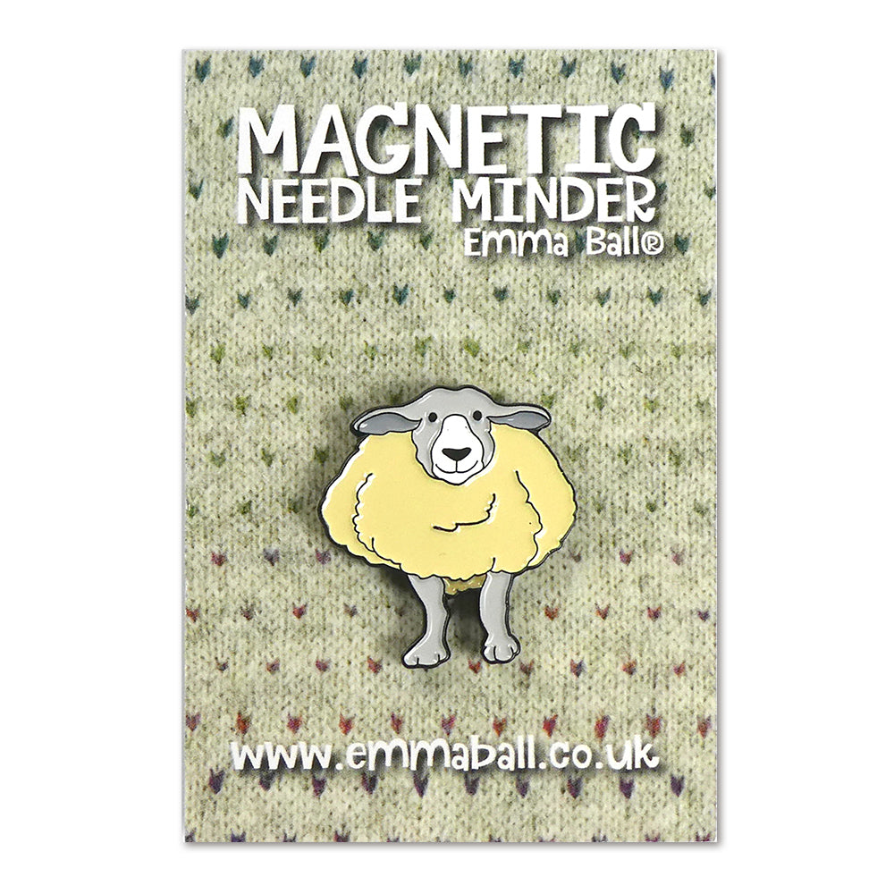 Magnetic needle minder