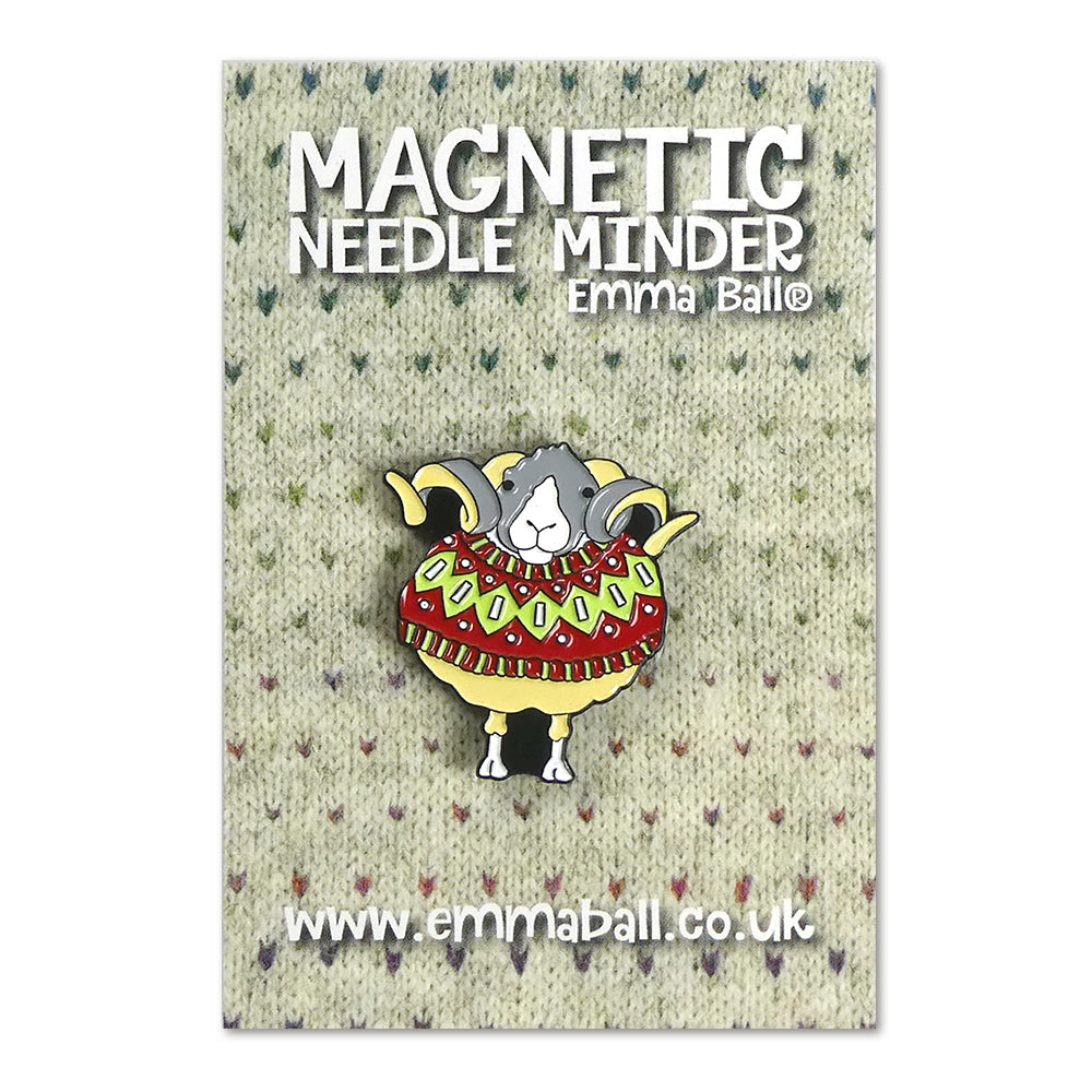 Magnetic needle minder